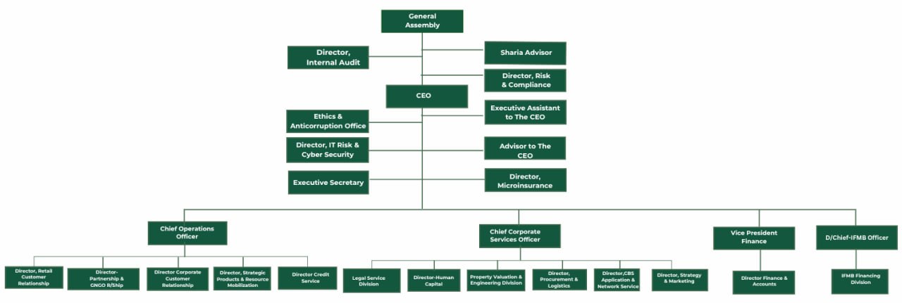 Company Organizational Structure