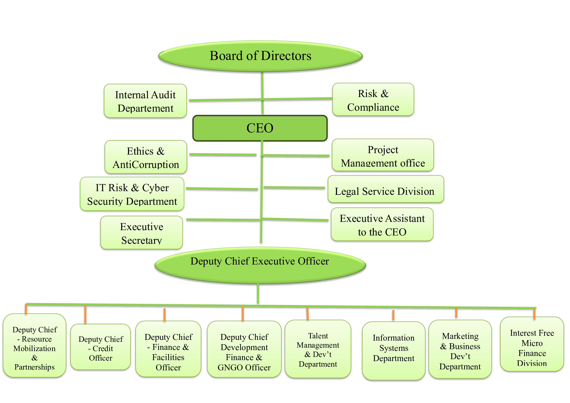 Company Organizational Structure
