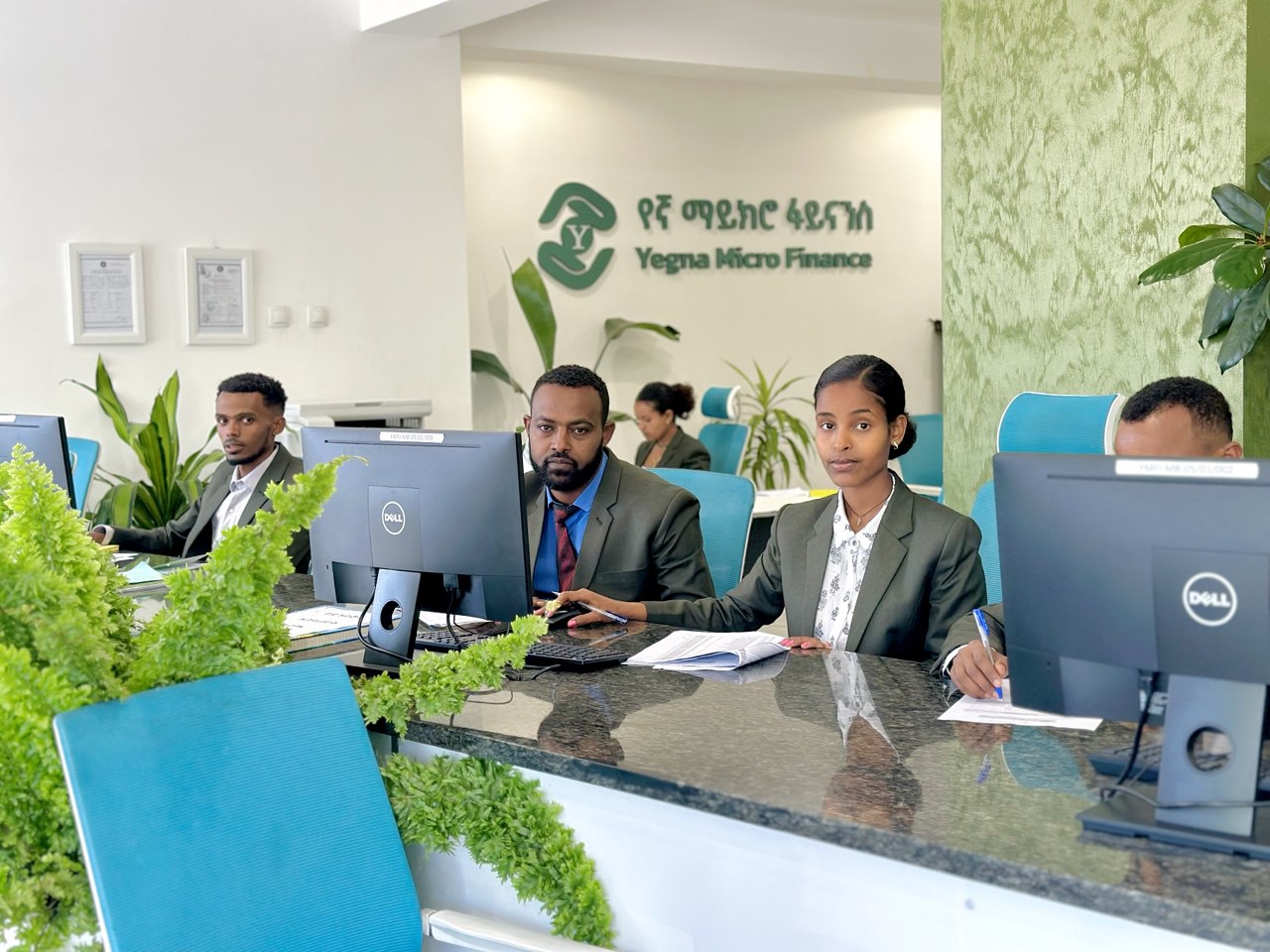 Micro Loans