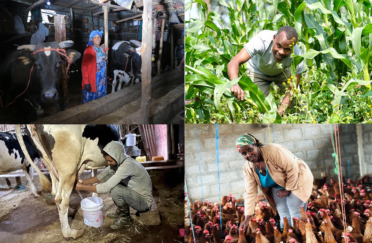 Urban Agriculture and Innovation Loan